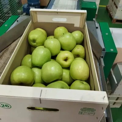 distribuidores-manzanas-2