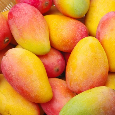 mango (3)